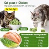 Juguetes de Hierba para Gato, Comestibles Juguetes Masticables Natural para