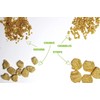 Plant Basics - Hearty Plant Protein - Unflavored Chunks, 1