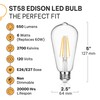 HUDSON BULB CO. Vintage Edison LED Light Bulbs 6W (6