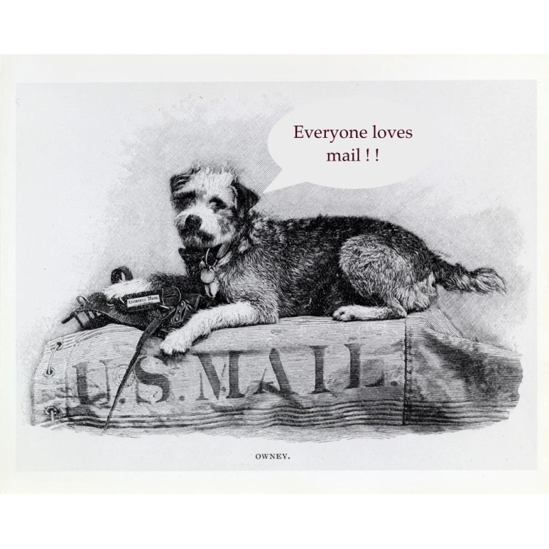 Fruit Postcard: Vintage Repro Print - Beautiful Red Grapes, Napa