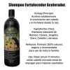 Shampoo Acelerador Crecimiento Notable Cabello Fuerte