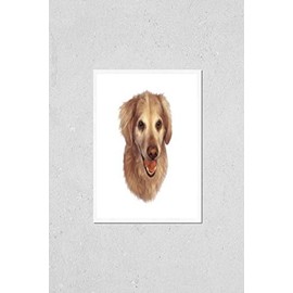 Poster Reproduction of Portrait of a Golden Retriever. Illustration of a Guide dog isolated on white background. Watercolor Animal art collection: Dogs. Hand Painted Illustration of Pet. Good