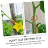 CAXUSD 1set Weatherproof Tomato Stem Support Clips Reusable Gardening Clips