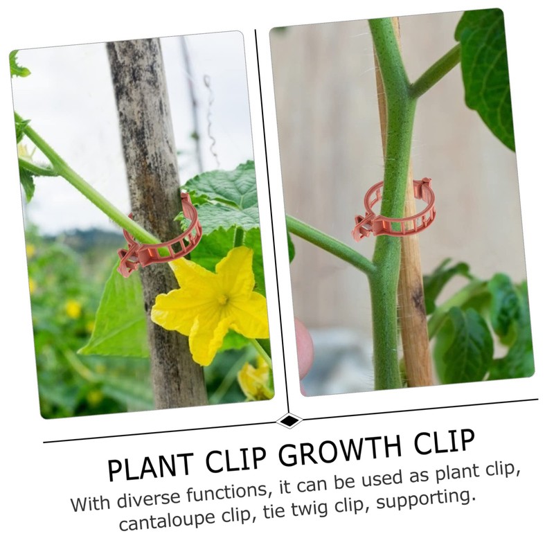 CAXUSD 1set Weatherproof Tomato Stem Support Clips Reusable Gardening Clips
