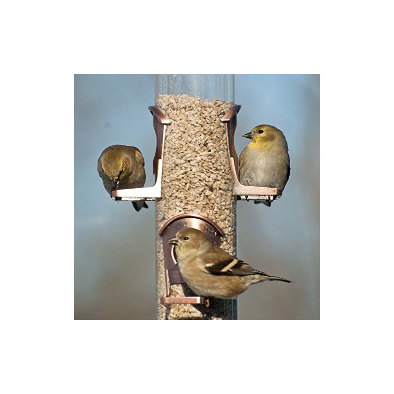 Brushed Copper 6 Port Seed Feeder