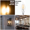 Dusk to Dawn Candelabra Bulbs Outdoor, CA11 Vintage, Candle Flame
