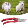 Hoof Trimmers, Stainless Steel Shrub Trimmer Floral Shears Gardening Scissors