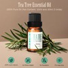 Tea Tree Essential Oil| 100% Pure Natural Aromatherapy| Undiluted for