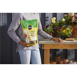 Miracle-Gro 3002010 Shake 'N Feed All Purpose Continuous Release Plant, 8 lb, Brown/A