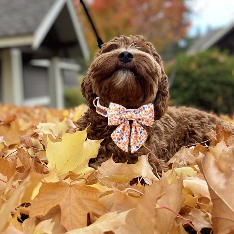 Unique Style Paws Autumn Leaf Collar with Bow Flower Cotton