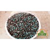 Professional Bonsai Fertilizer 16-4-8 by Prorganics (6 Months nutrients Supply)