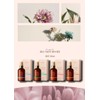 Will Aroma Hair Serum 100ml Belif Rose Belif / 윌르아로마