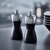 PEUGEOT 21283 Pepper Mill, Wooden, 4.7 inches (12 cm), Coarseness,