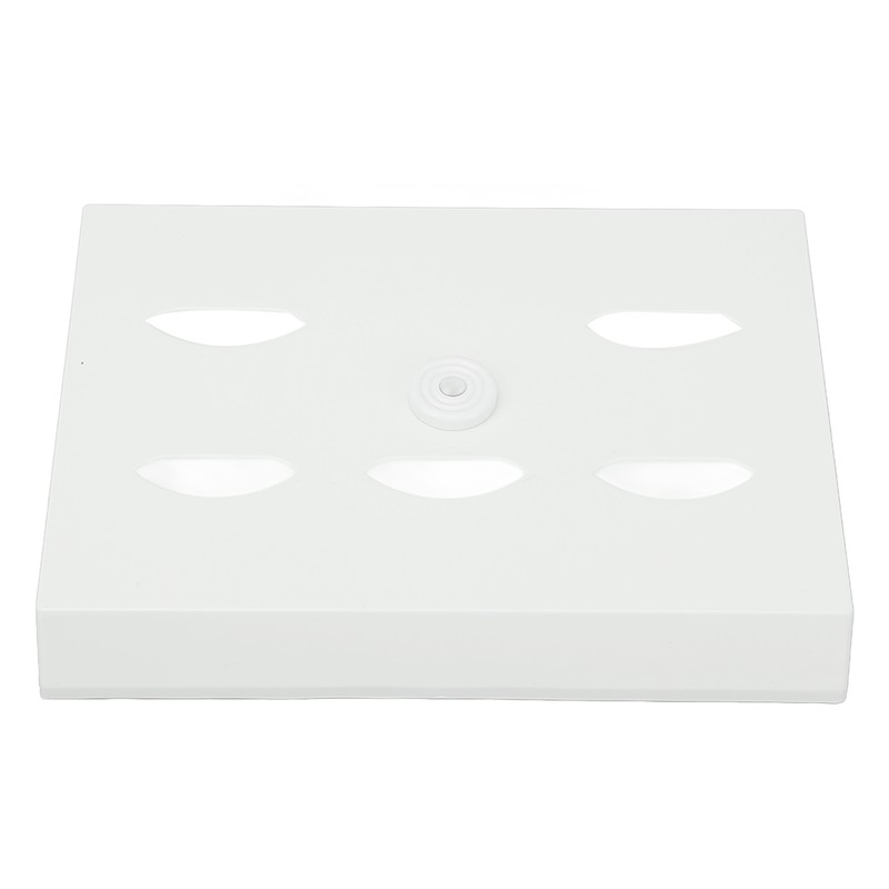 Enlarged Human Eye Anatomical Model Accurate Shows Optic Nerves Cornea