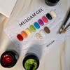 Vibla Paint Gel Season 1 Single Item / 비블라 물감젤
