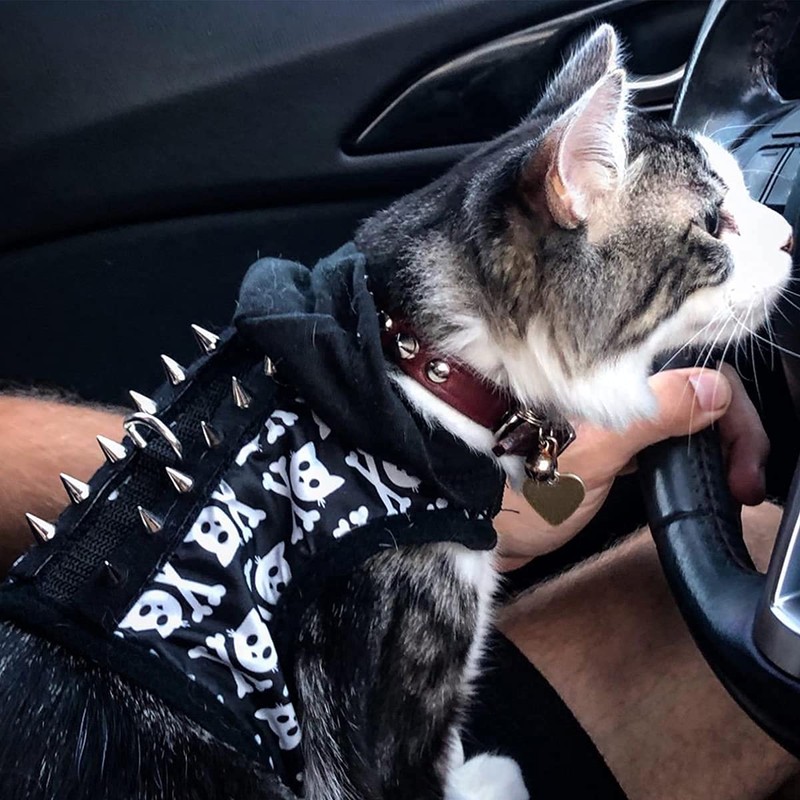 zhuohai 100 Pairs Cone Spikes Screwback Studs, Cone Silver Studs