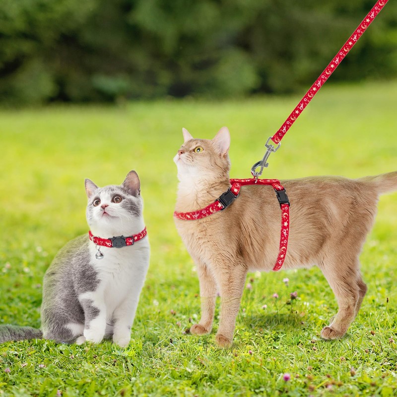 PAWCHIE Cat Harness with Leash and Collar Set - Escape