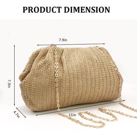 AHONEY Straw Purse Beach Bag Straw Designer Handbag for Women Nude Clutch Dumpling Pouch Boho Crossbody Shoulder Bags for Vacation Beach Summer
