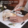 TIVOLI Heavy Duty Poultry Shears - Kitchen Shears with Serrated