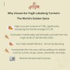 Go-Yogik Lakadong Turmeric powder -225 gram | High curcumin 7-9%
