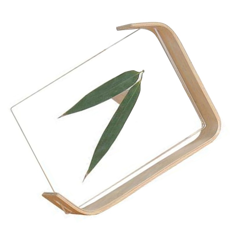 Desktop Plant Specimen Frame Wooden Acrylic Simple Modern Photo Frame