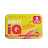 MintiQ Sugar Free Icy Citrus, 40 Mints