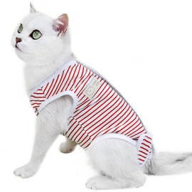 Cat Postoperative Clothes, For Cats, Pet Post-surgery Clothes, Cat Postpartum Clothes, Surgery Wear, Prevents Licking, Striped Cat Castration Clothes, Skin Protection, Surgery, Boys and Girls (Red,