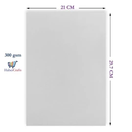 Blotting Paper Sheets A4 Blotting Paper for Ink Pens & Oil Blotting Sheets 300gsm Super Absorbent Blotting Paper for Arts, Crafts & Removing Excess Ink & Oil (White - A4 Sheets - 300gsm - 10 Sheets)
