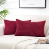 Fancy Homi 2 Packs Burgundy Lumbar Decorative Throw Pillow Covers
