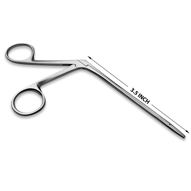 Alligator Forceps 3.5" Surgical Veterinary Instrument