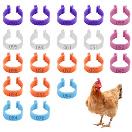 20Pcs Chicken Leg Rings, 20mm Multicoloured Clip On Leg Rings, Numbered Chicken Identification Leg Bands, Poultry Leg Rings, for Chickens Ducks Hens Goose Poultry Large Fowl (Mixed Colors)