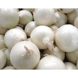 1000 Southport White Globe Onion seeds for planting Long Day Onion Non GMO 4 grams Garden Vegetable bulk Survival