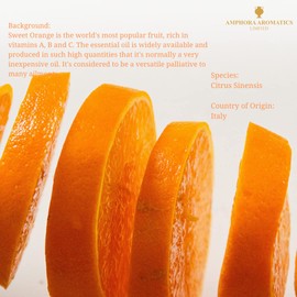 Amphora Aromatics Orange Essential Oil 10ml