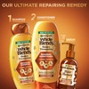 Garnier Whole Blends Honey Treasures Repairing Shampoo, for Dry, Damaged