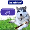 J&E Importers The Pet Store Maximum Strength Tough Extreme Jurassic