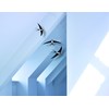 3 Swallow Hanging Mobile - 20 Inches - Premium-Grade Cardstock