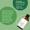 LOTUSJOY Calamus Essential Oil for Skin Hair Diffuser- 1 Oz
