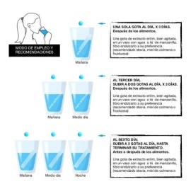 Erilim 42 Dias Alivia Síntomas De Gastritis, Reflujo, Acidez
