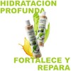 Shampoo de Coco - Hidratante, Nutritivo, Protector | 520 ml