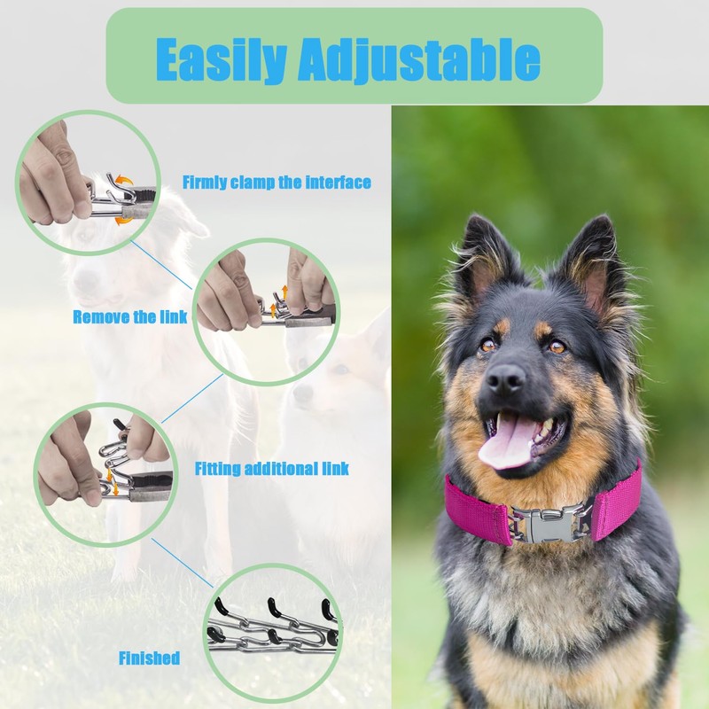 No Pull Dog Adjustable Collar with Buckle for Small Medium