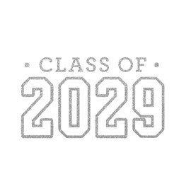 Class of 2029 Iron On Decal, Senior Class Shirt Patch, Heat Transfer, HTV Graphic TShirt Sticker, DIY Crafts, Pick Size Color, Iron-On Almost Anything in 5 Min (Silver Glitter)