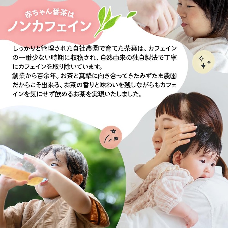 Mizutama Farm Sun-Blessed Baby Bancha Tea Bags with String 2.5g×65