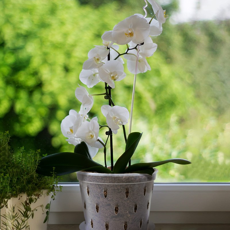 Lanccona Orchid Pot, 7 Inch 8 Pack Orchid Pots with