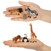 TOYMANY Mini Animal Figures 14PCS Mini Wild Animal Figure Set