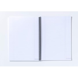 Exacompta - Ref GES7421Z - Guildhall - Essentials Wire bound Single Cash Account Book, A4, 297 x 210mm, 192 Pages of 80gsm Pre-Printed Paper - Receipts, Expenses, Summaries