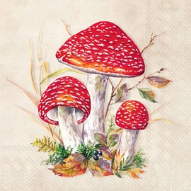 Mushroom Party Napkins - 40 Count (2 Packs of 20CT Lunch Napkins) - Whimsical Toad Design with Fall Foliage