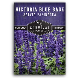 SURVIVAL GARDEN SEEDS Survival Garden Seeds - Victoria Blue Sage Seed for Planting - Packet with Instructions to Plant and Grow Mealycup Sage or Salvia Farinacea in Your Home Vegetable Garden - Non-GMO Heirloom Variety