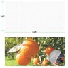 Garden Mesh Netting for Plants-10X33 FT Insect Netting for Garden,Garden