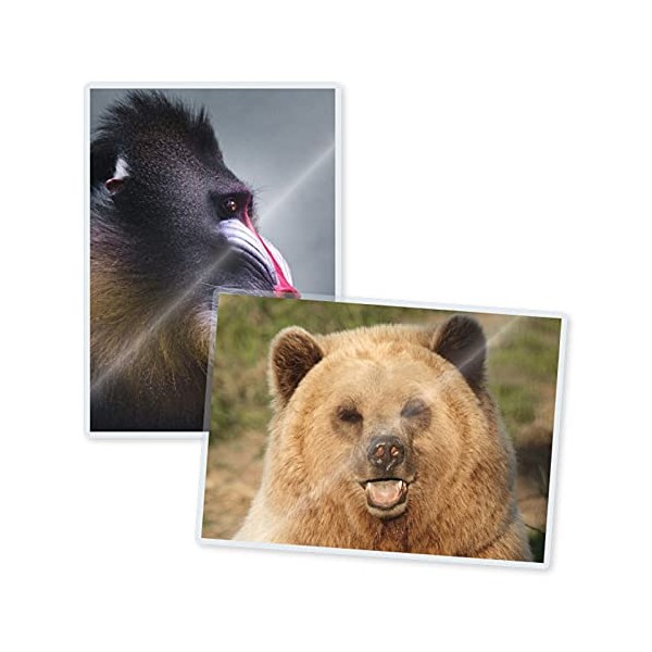 TruLam Laminating Pouches - Small Portrait Size - 5-1/4-Inch by