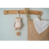 Little Dutch Forest Friends 8906 Music Box Owl